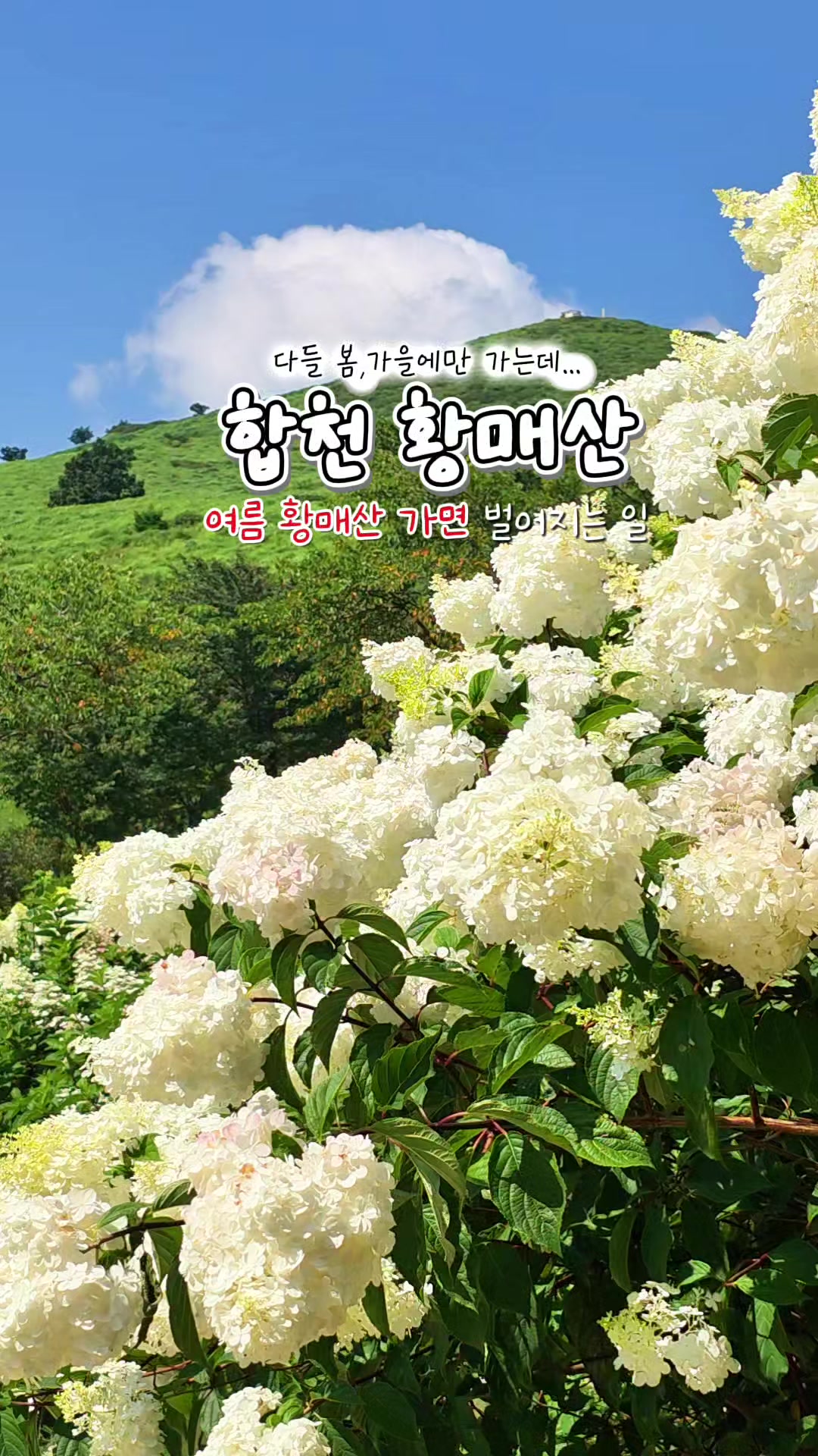 @ON로드 여행기