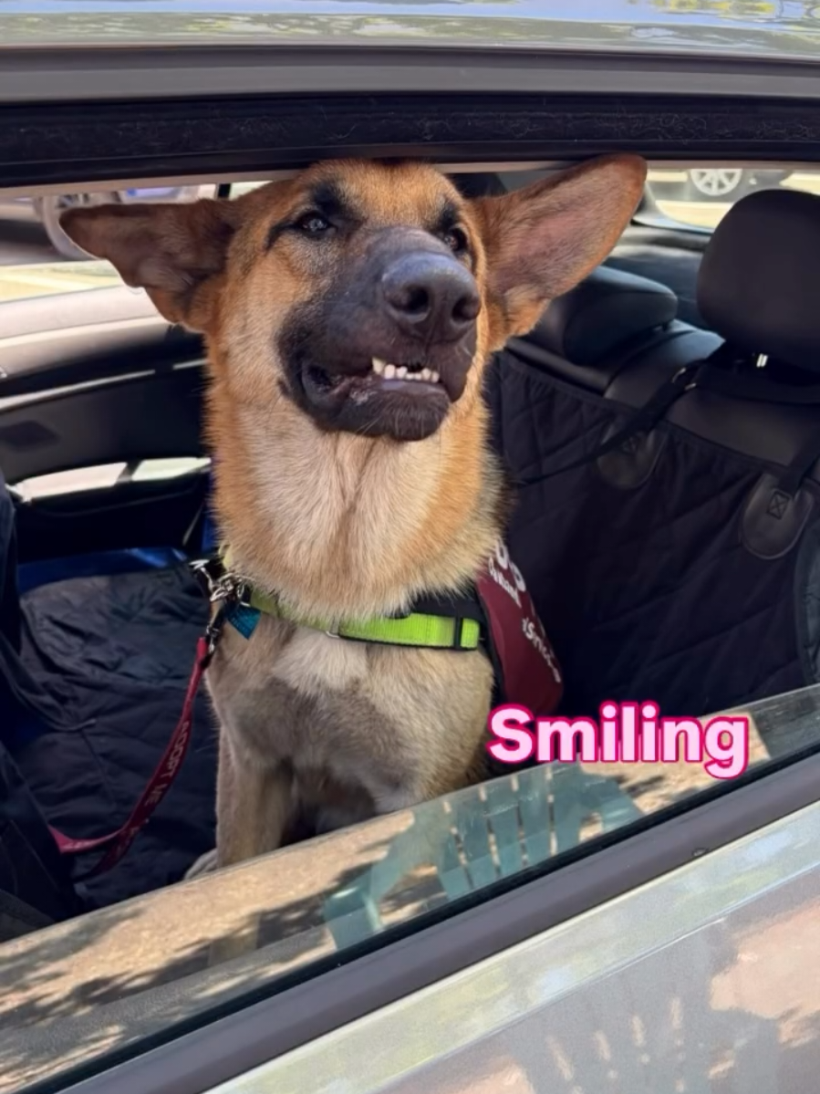 @Oakland Animal Services