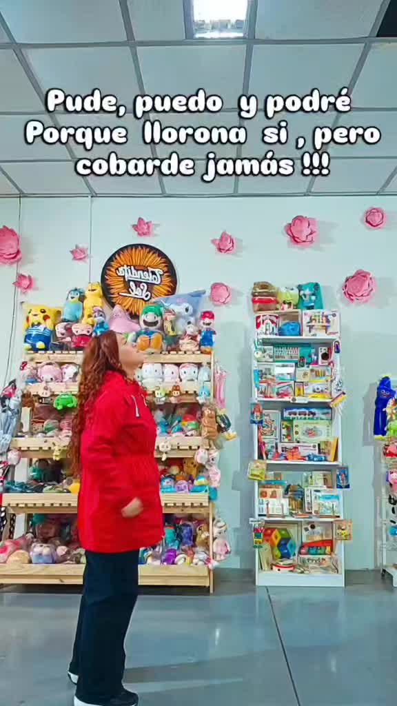 @jugueteria sol