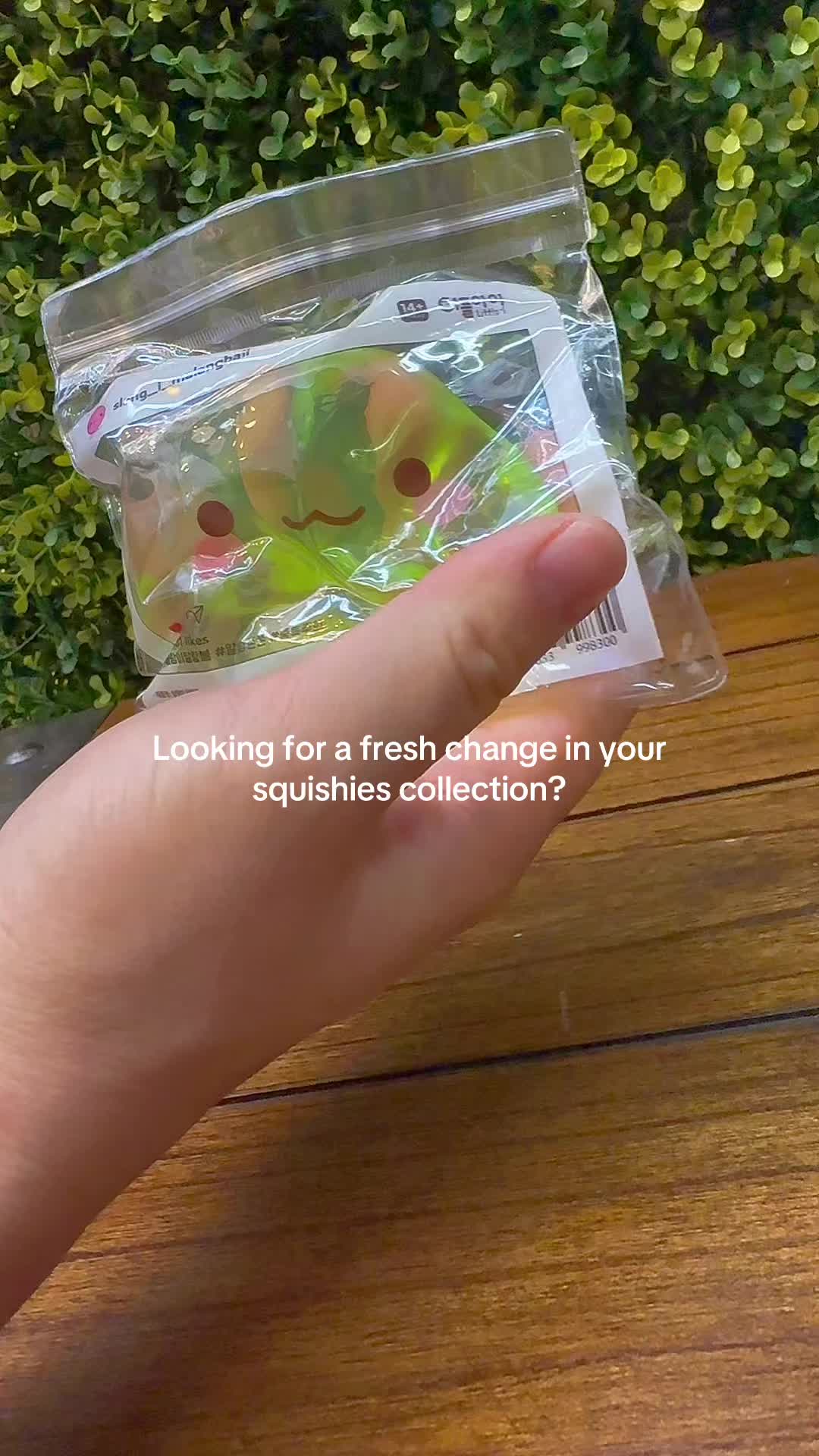 @toybento san