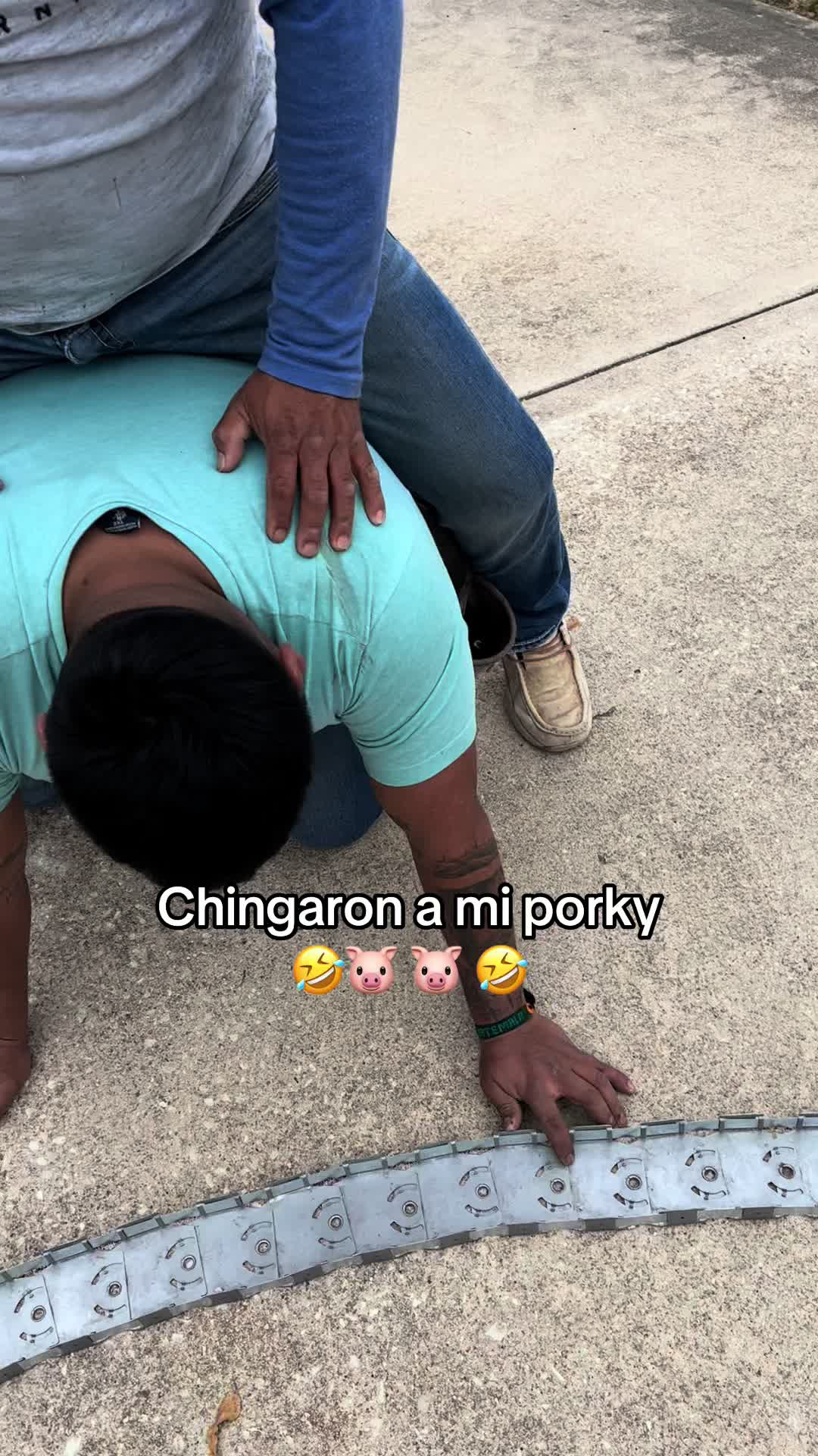 @Gansito Cadenas