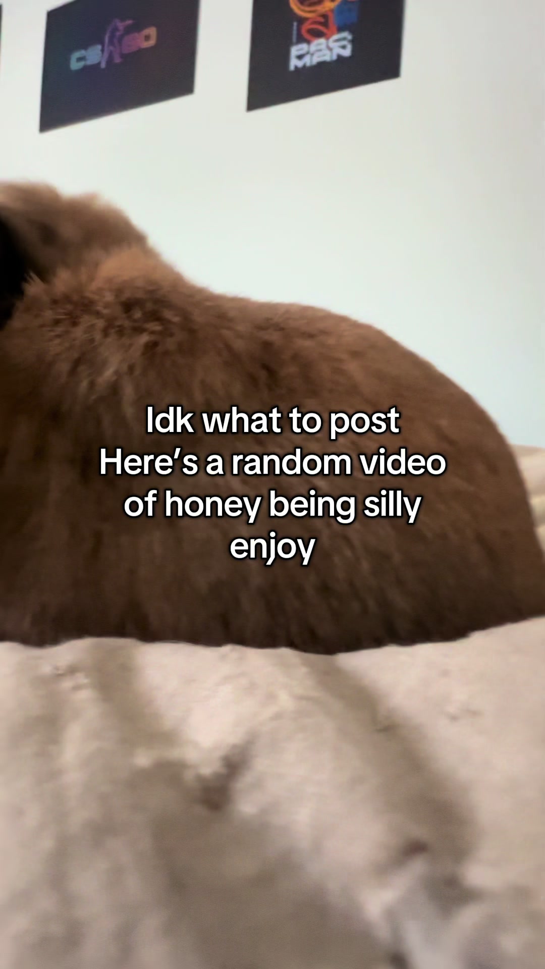 @honeythebunny24