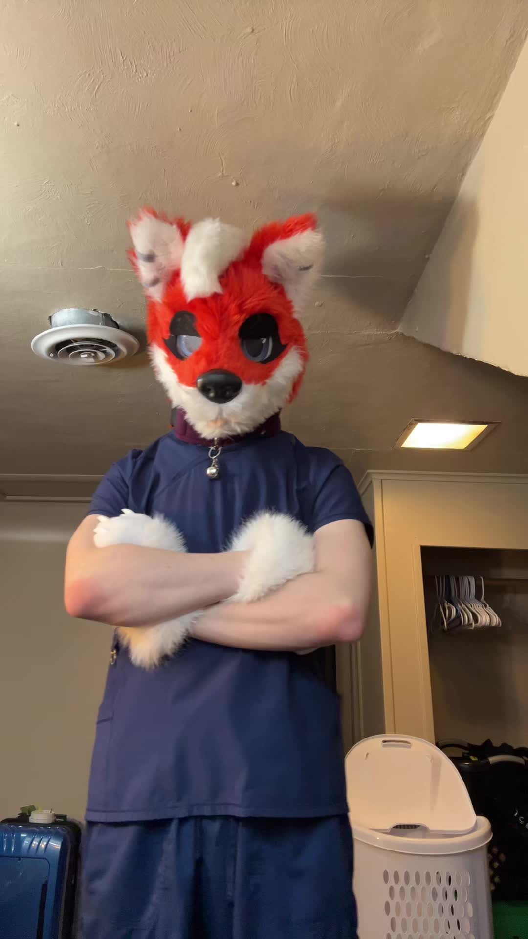 @GummiAlbion🦊🍜