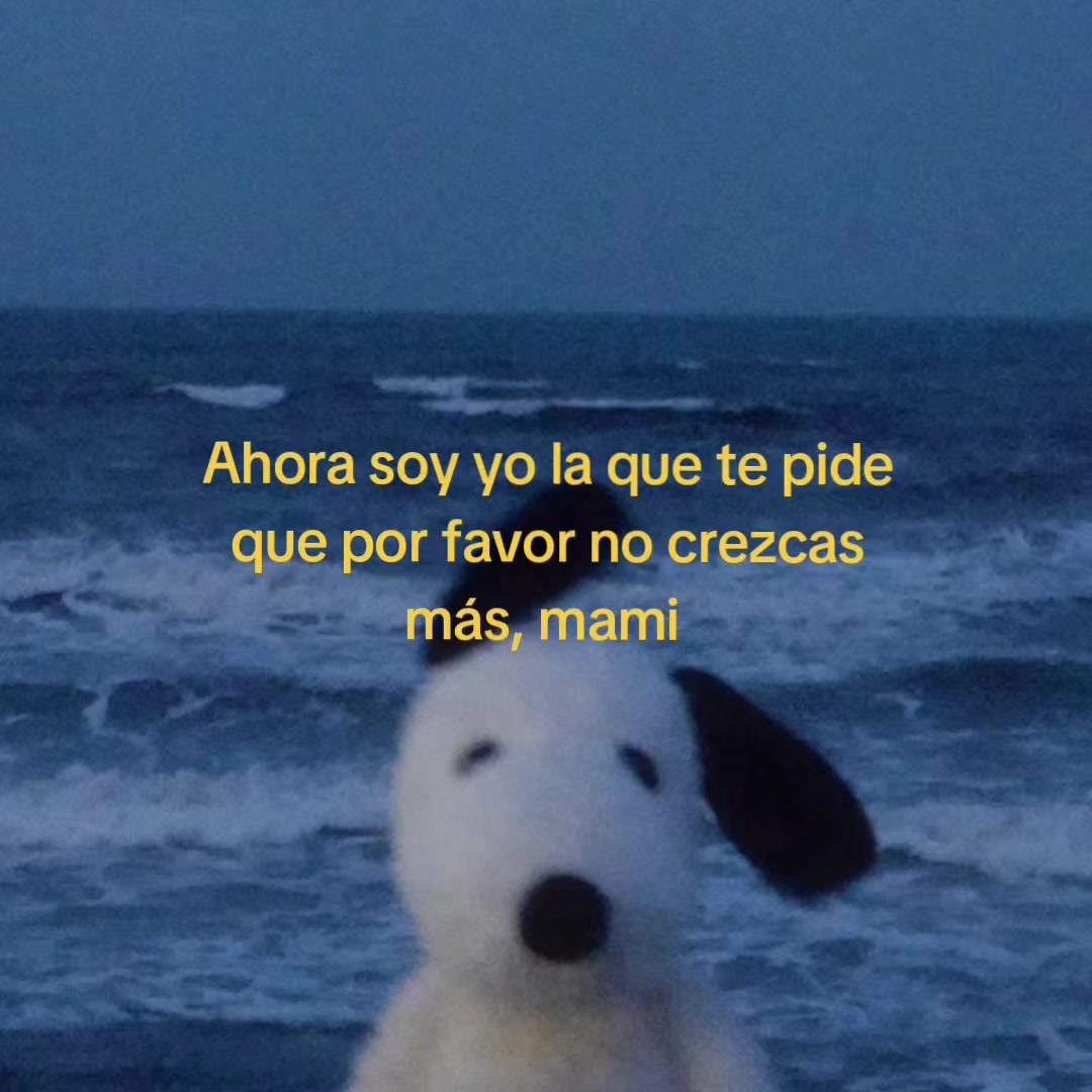 @goodvibessxd