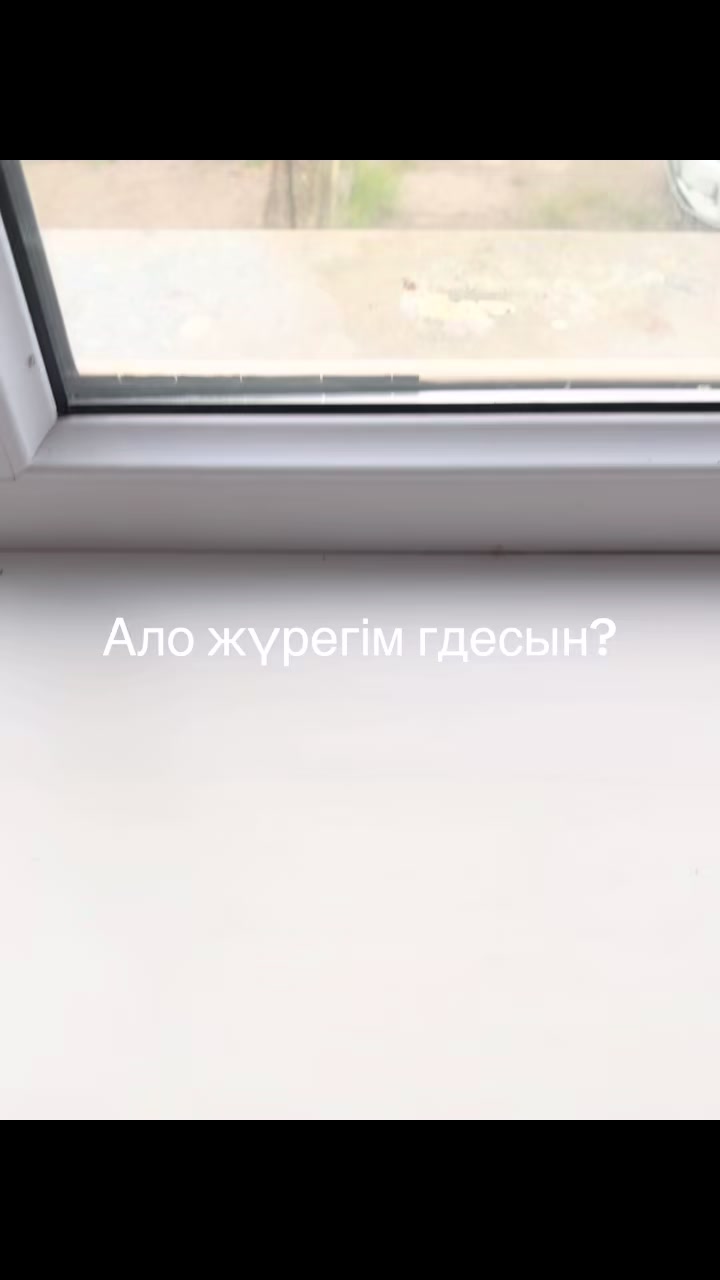 @arslnv.🚶