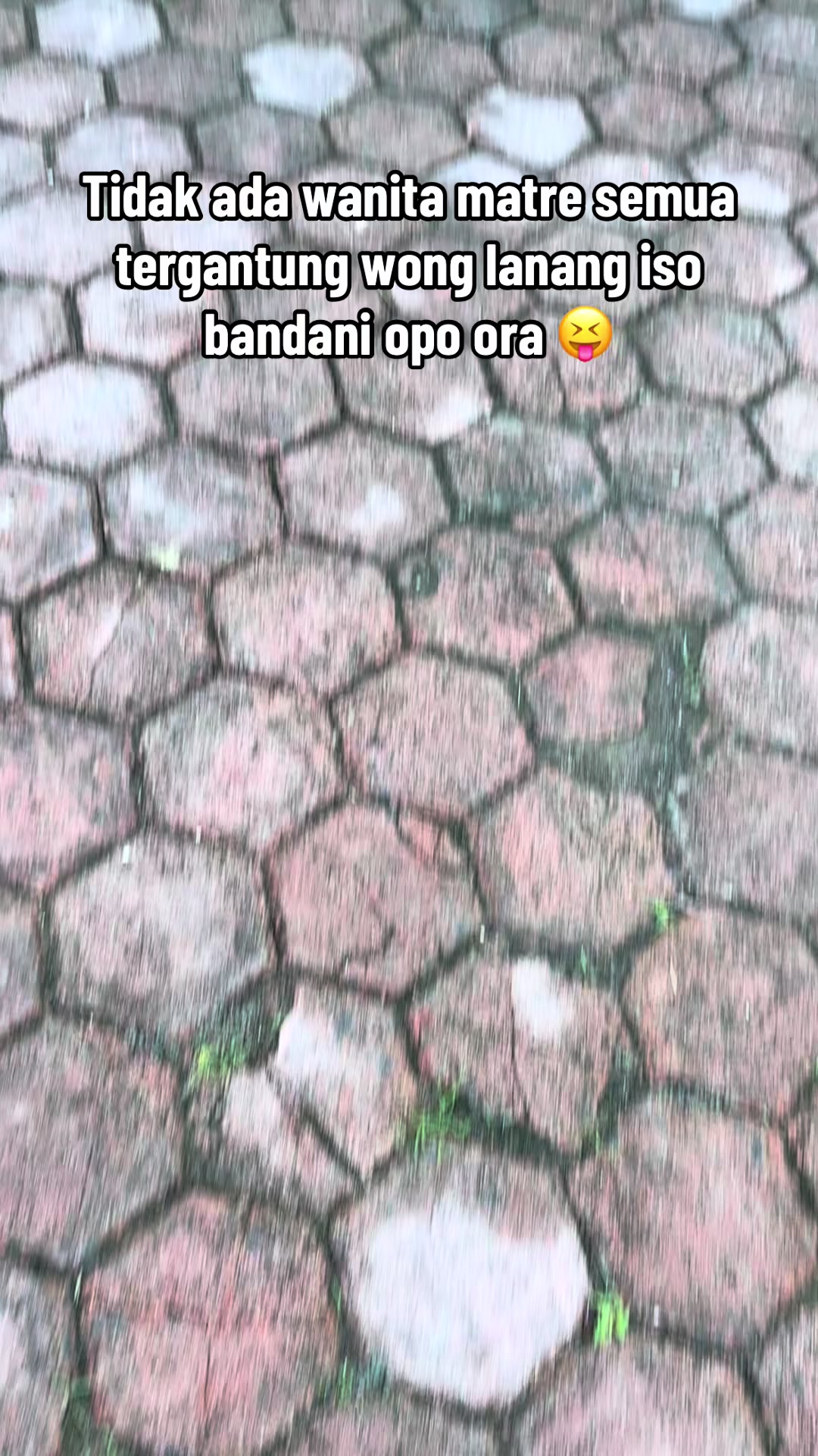 @Tikkaa🎀