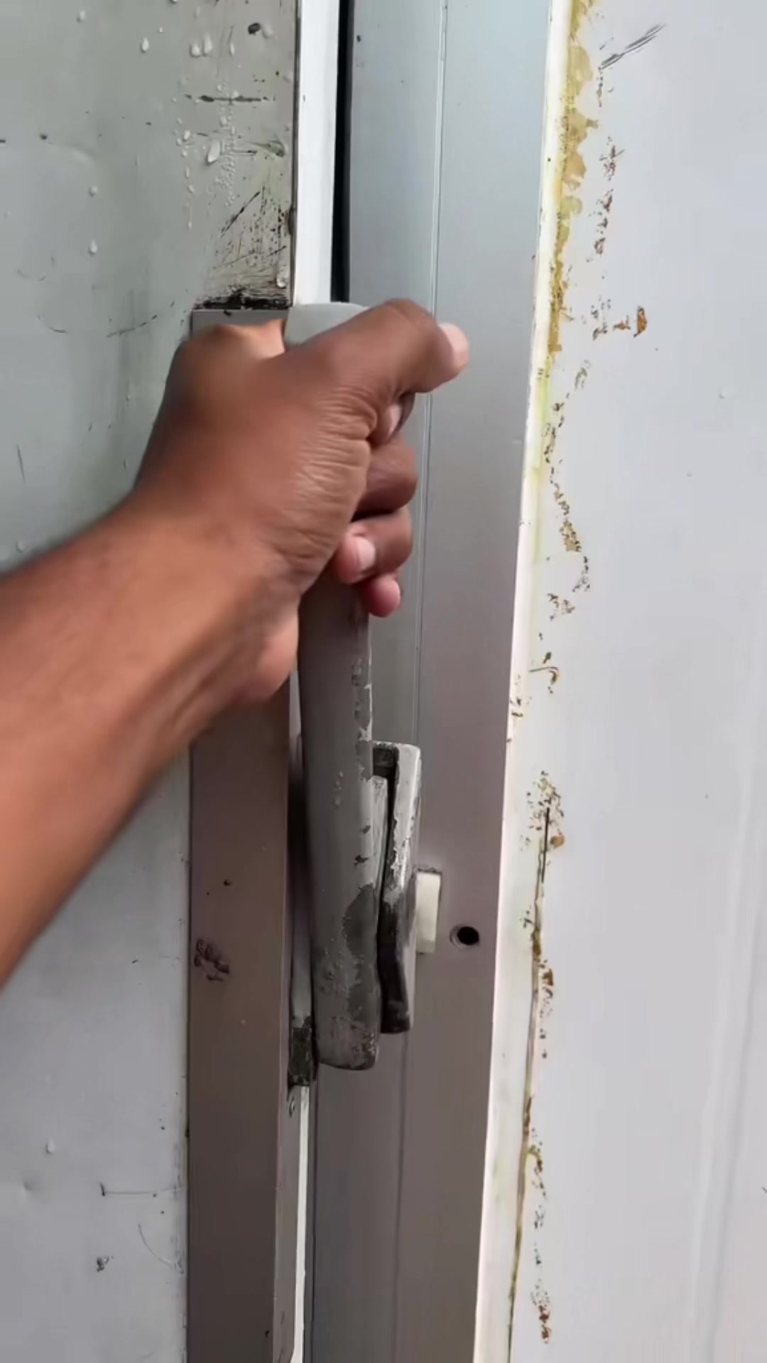 @Ramão silva