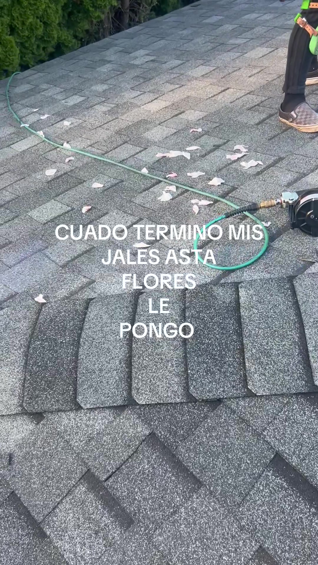 @🦥🐿️🌴EL POCHOLO ✈️⚔️❤️