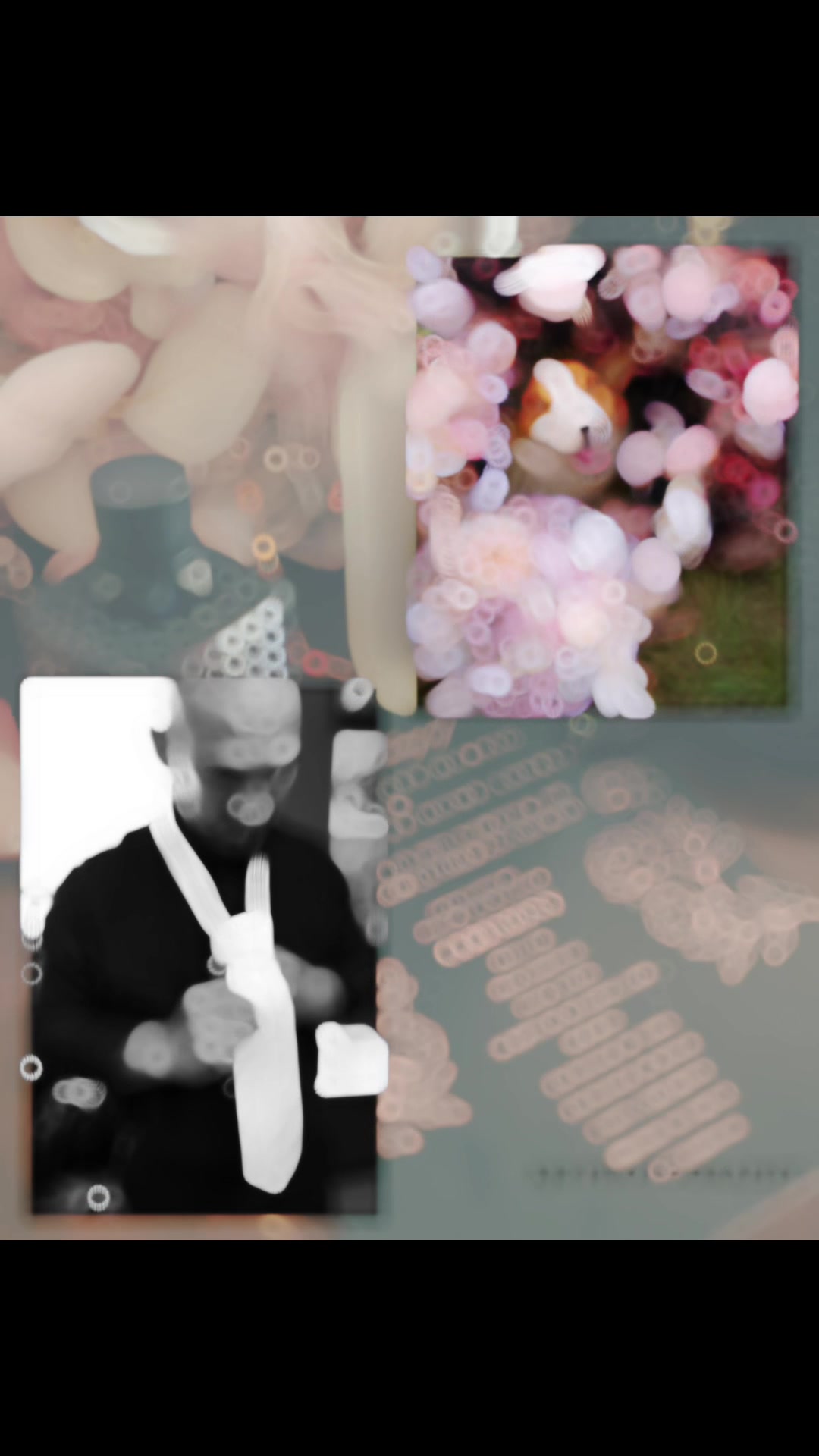 @KJB Photography & Designs