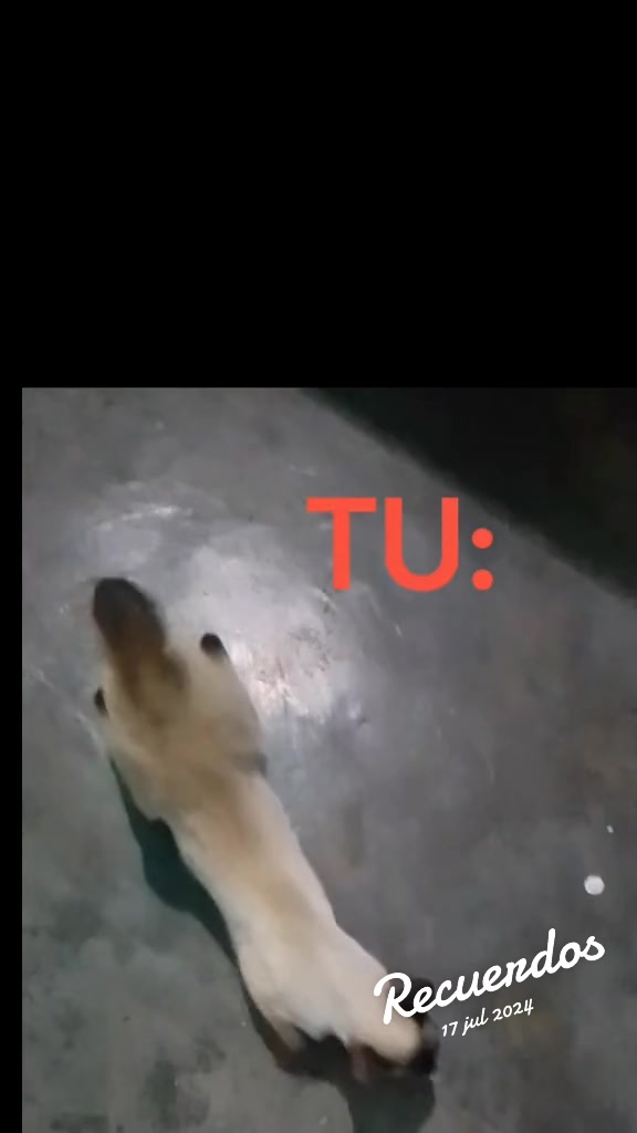 @KEMBERLY💫