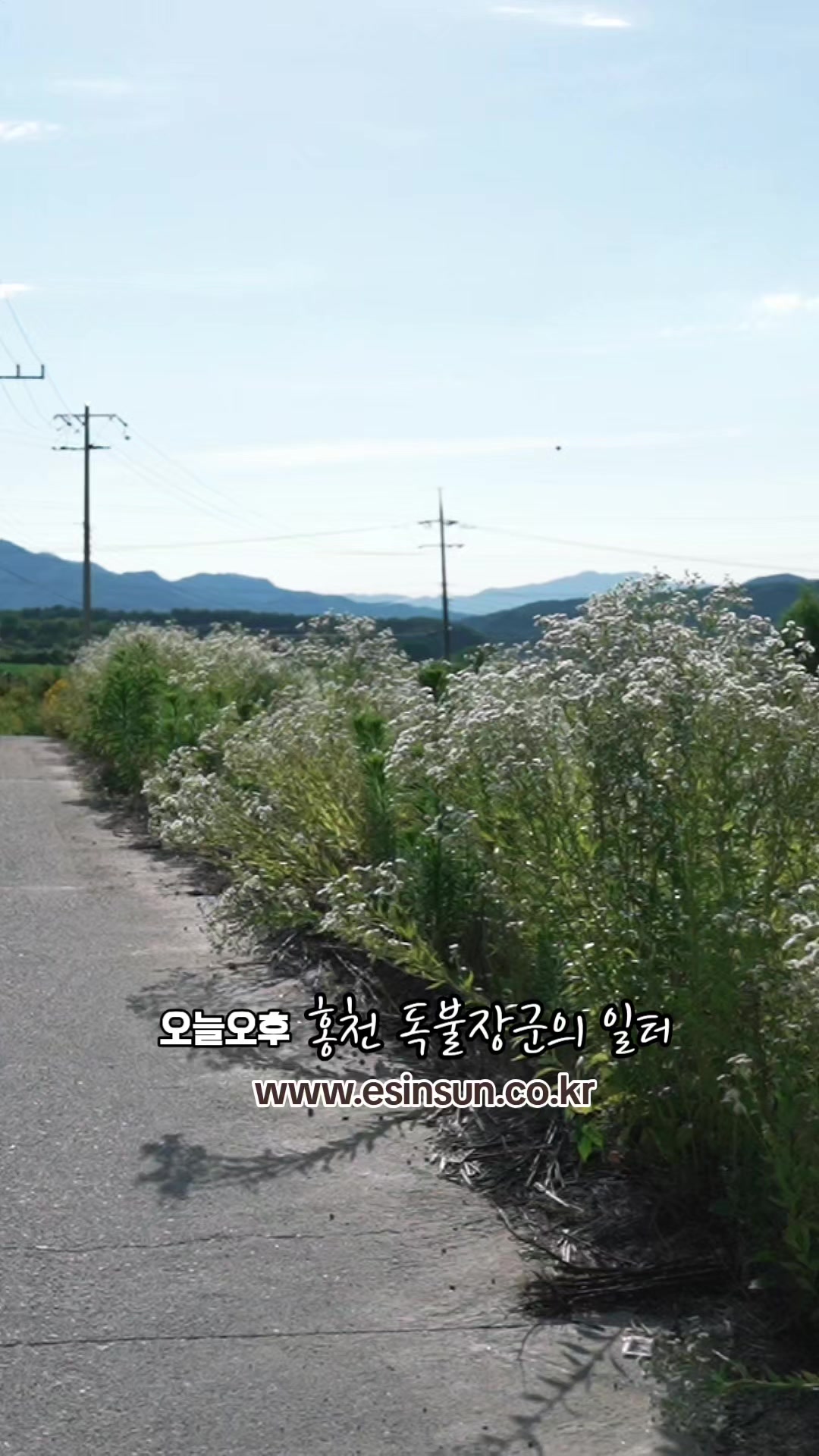 @🔥고물급남자