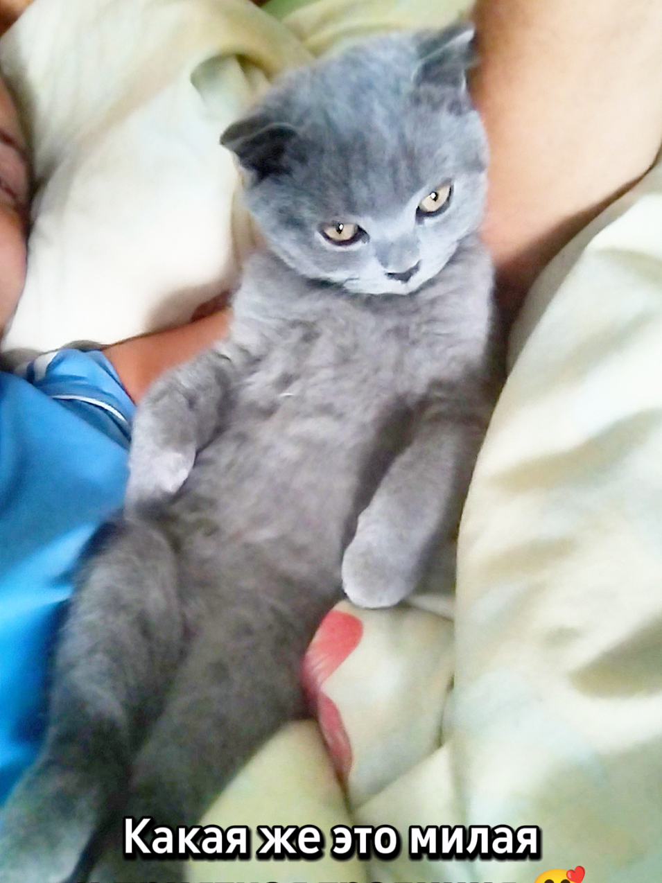 @😻Риччи&Джесси🐈Масик👼&Андрей