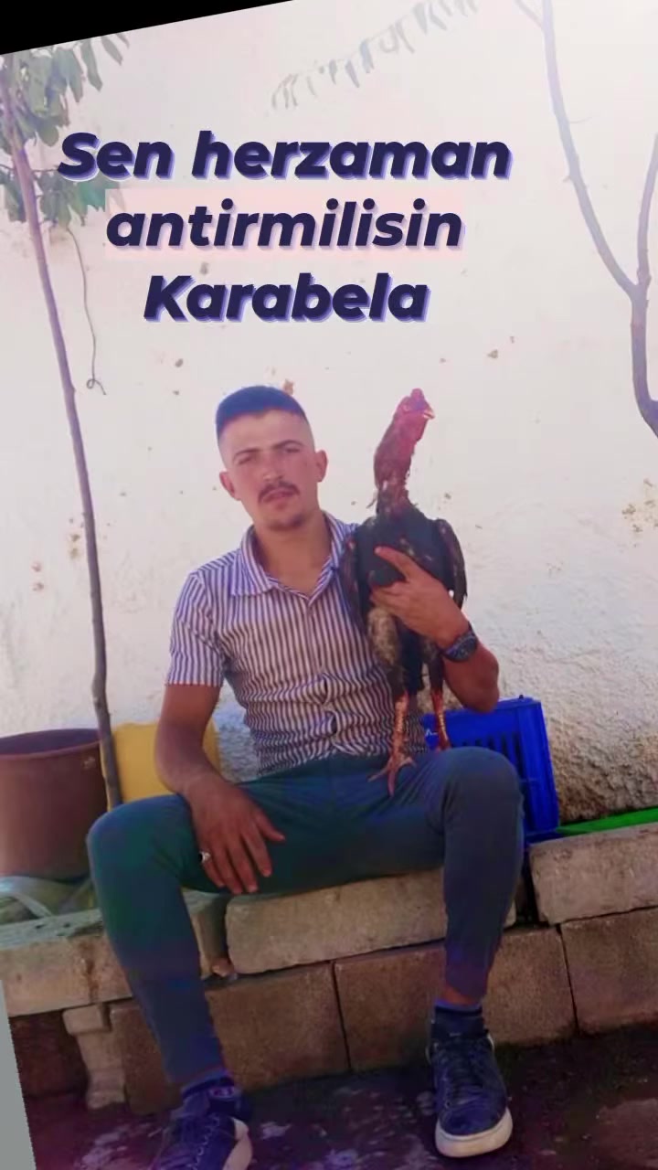 @Mustafa