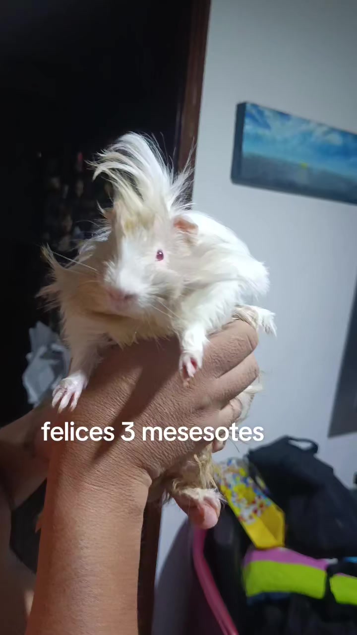 @Mamicuyo