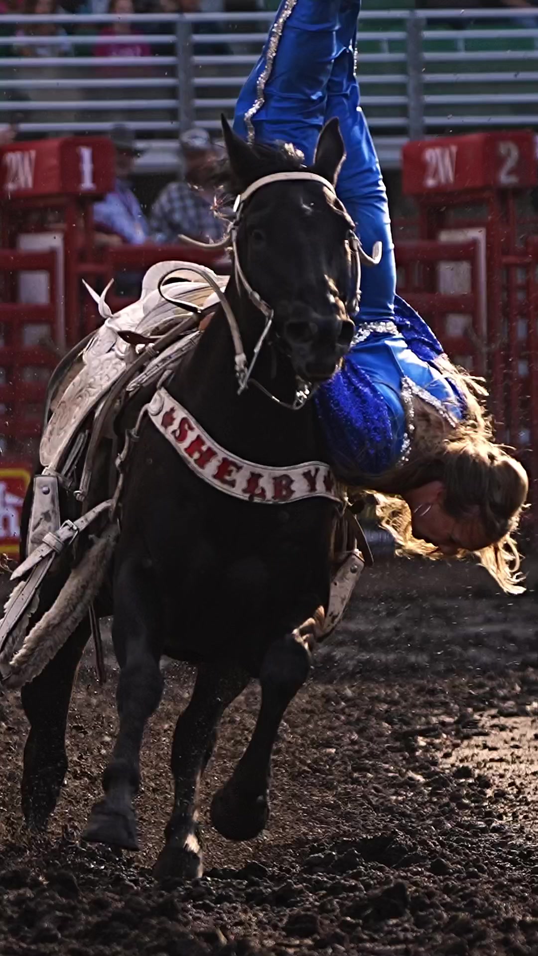 @Hanginghorses