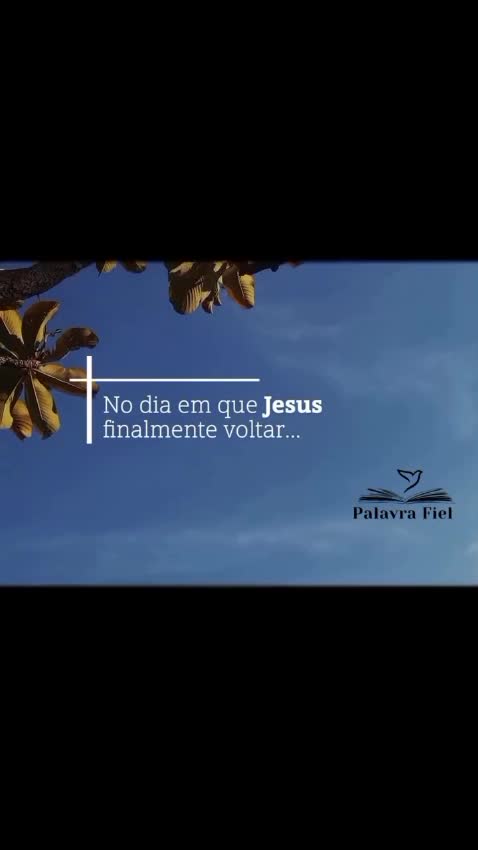 @Vanessa Marques Oficial