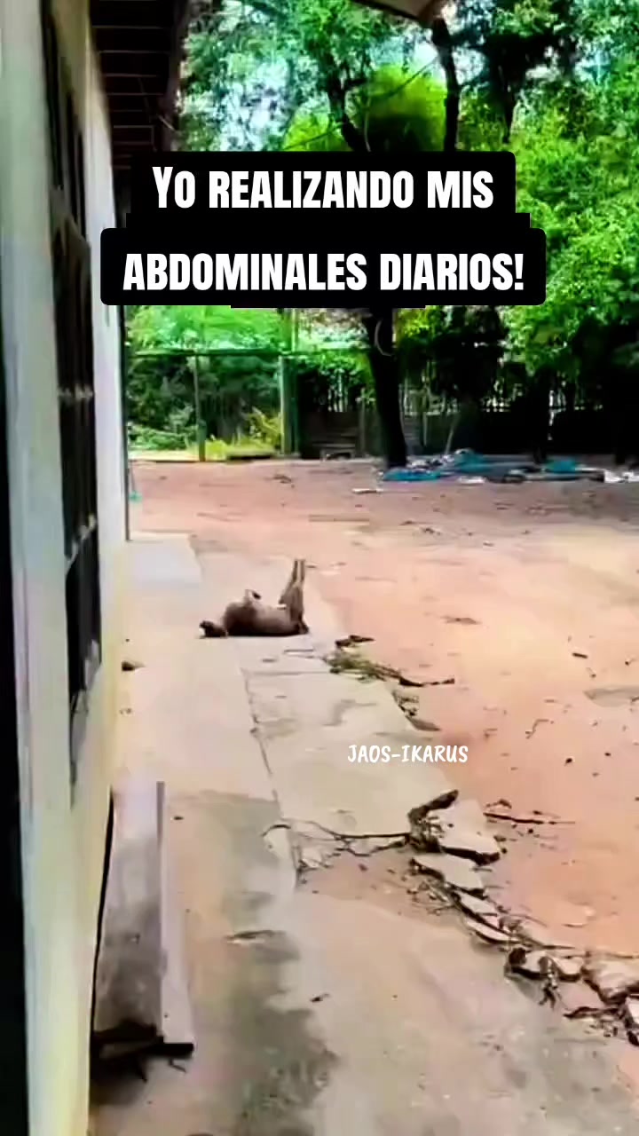 @JAOS-IKARUS
