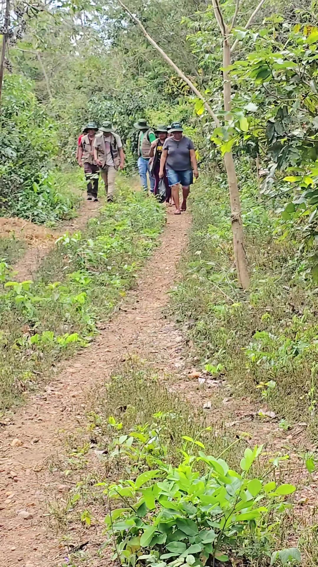 @FLADES