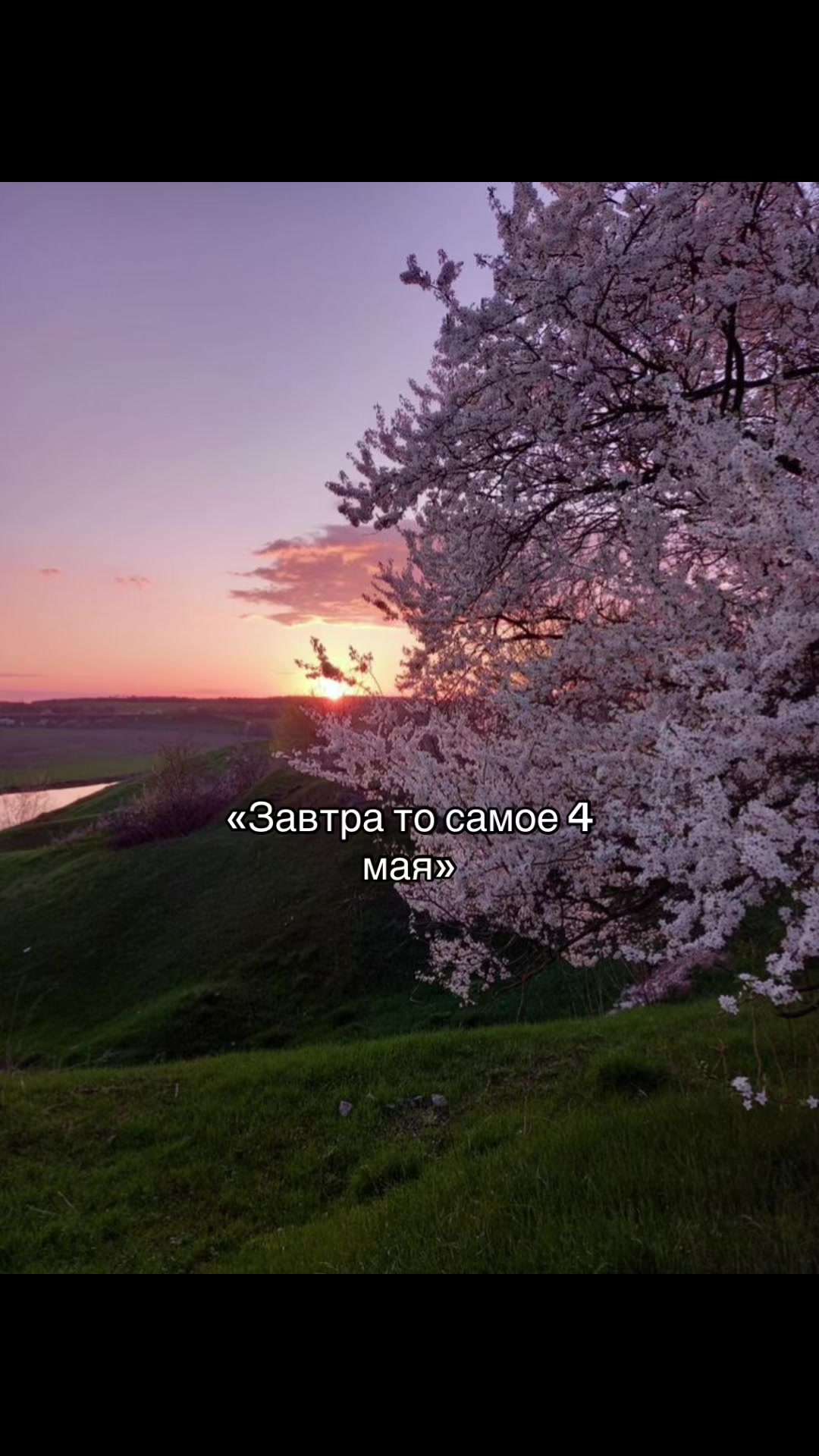 @riskqq0