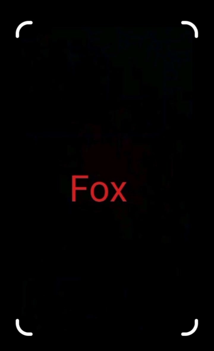 @Fox