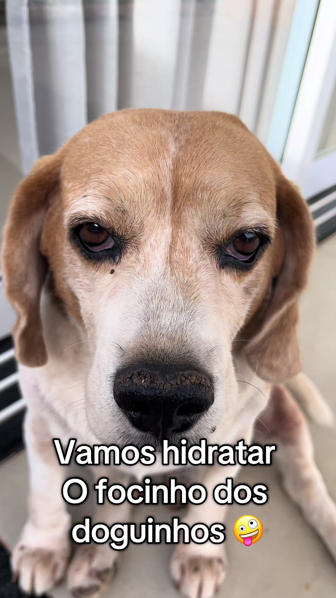 @amaetaonreceitascomamor