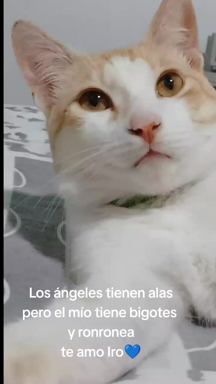 @Marlie Parra
