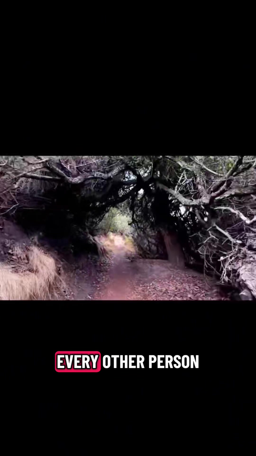 @yourdailyrun
