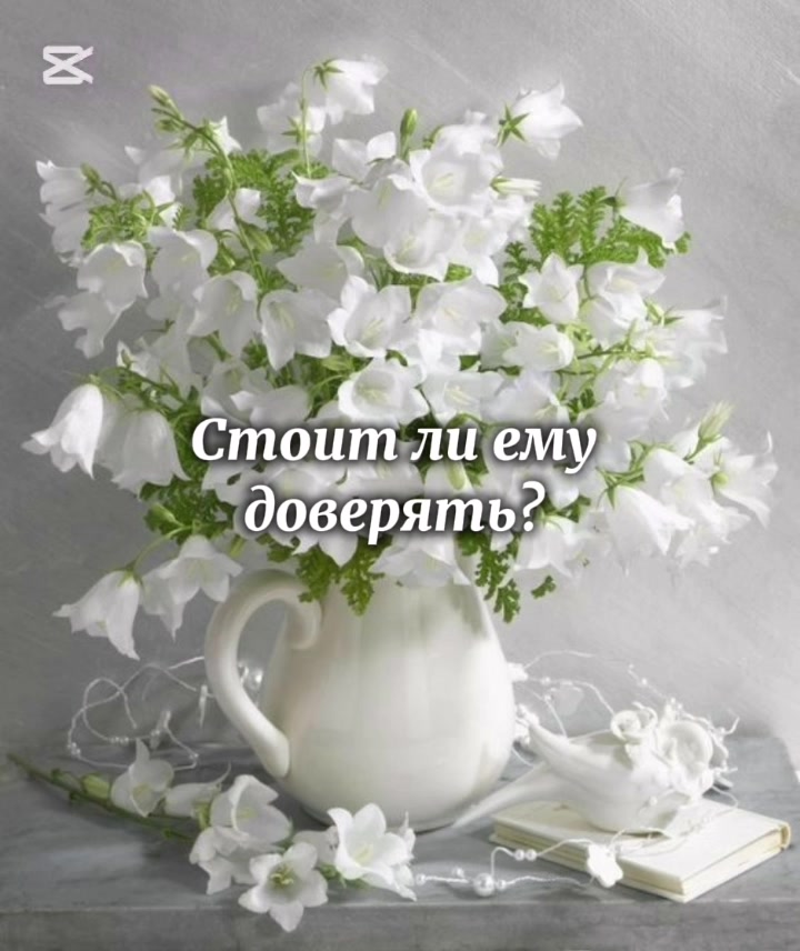 @Polli