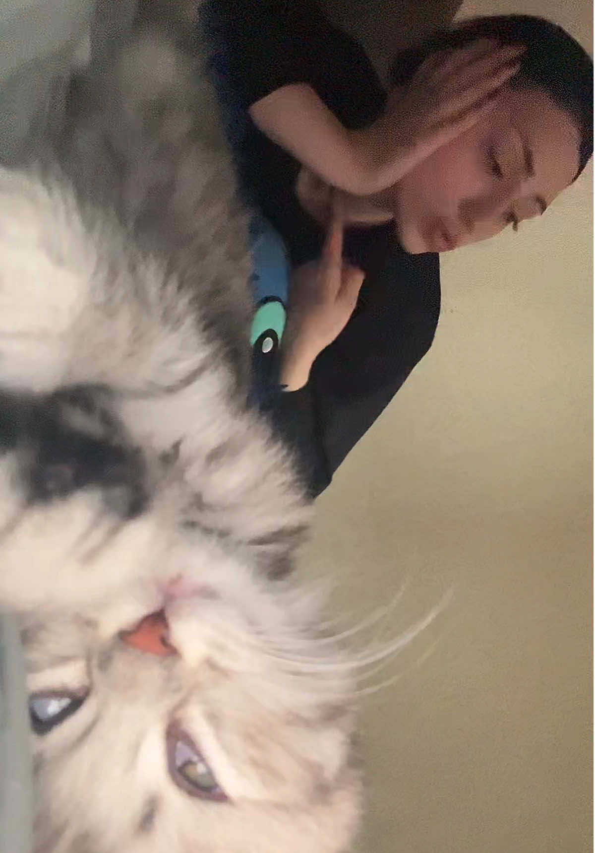 @KISVEK, КОТОРАЯ СНИМАЕТ🎥