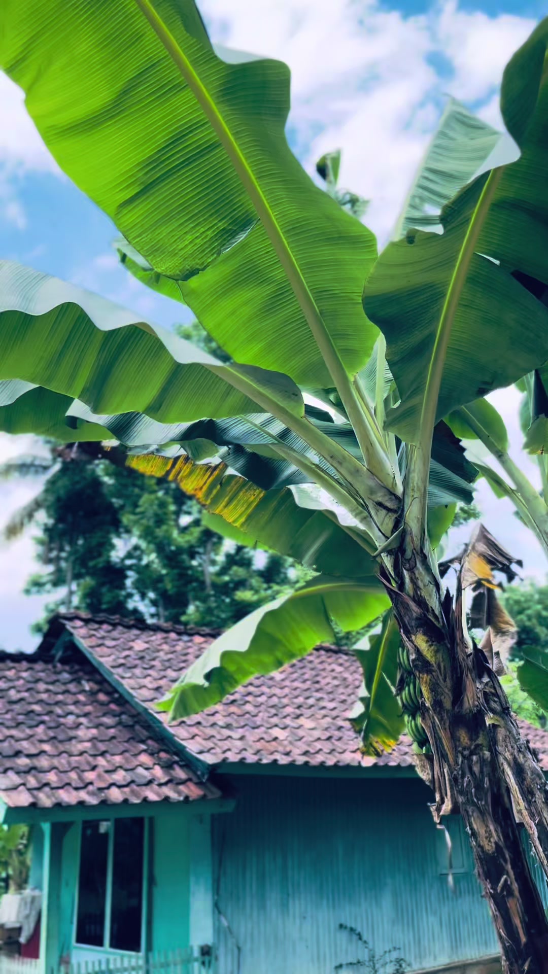 @𝙄𝙮𝙯𝙯𝙃𝙀𝙃𝙀&sup2;