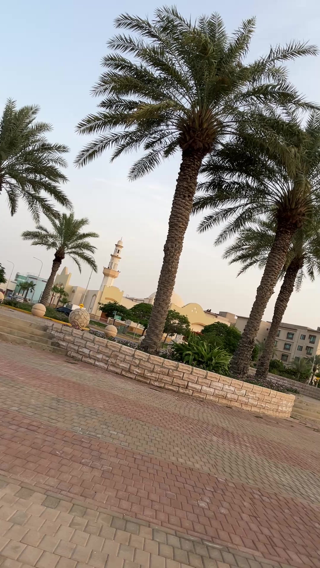 @ملك بلوقررر / الجبيل ✨