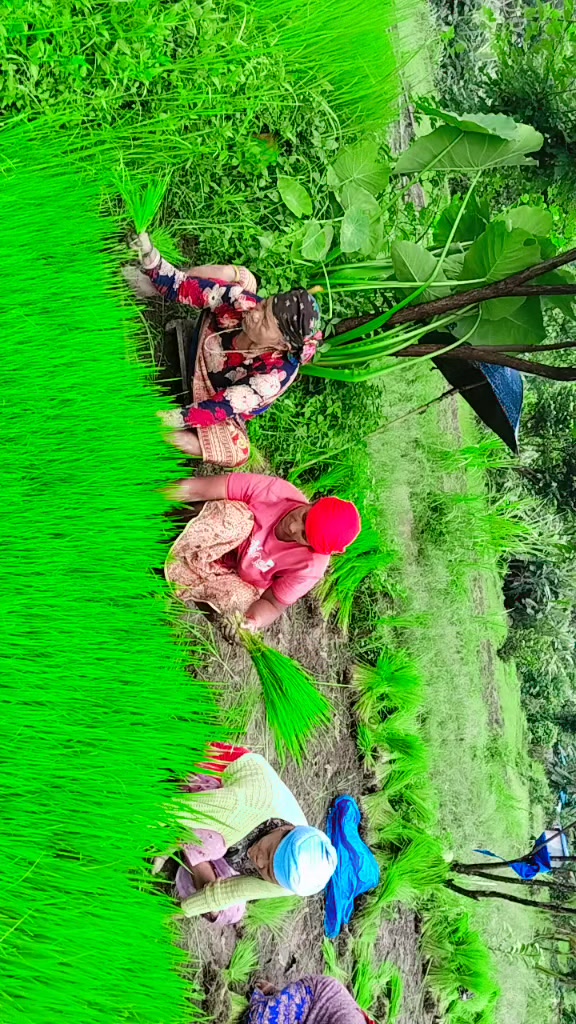 @Devi Khatri