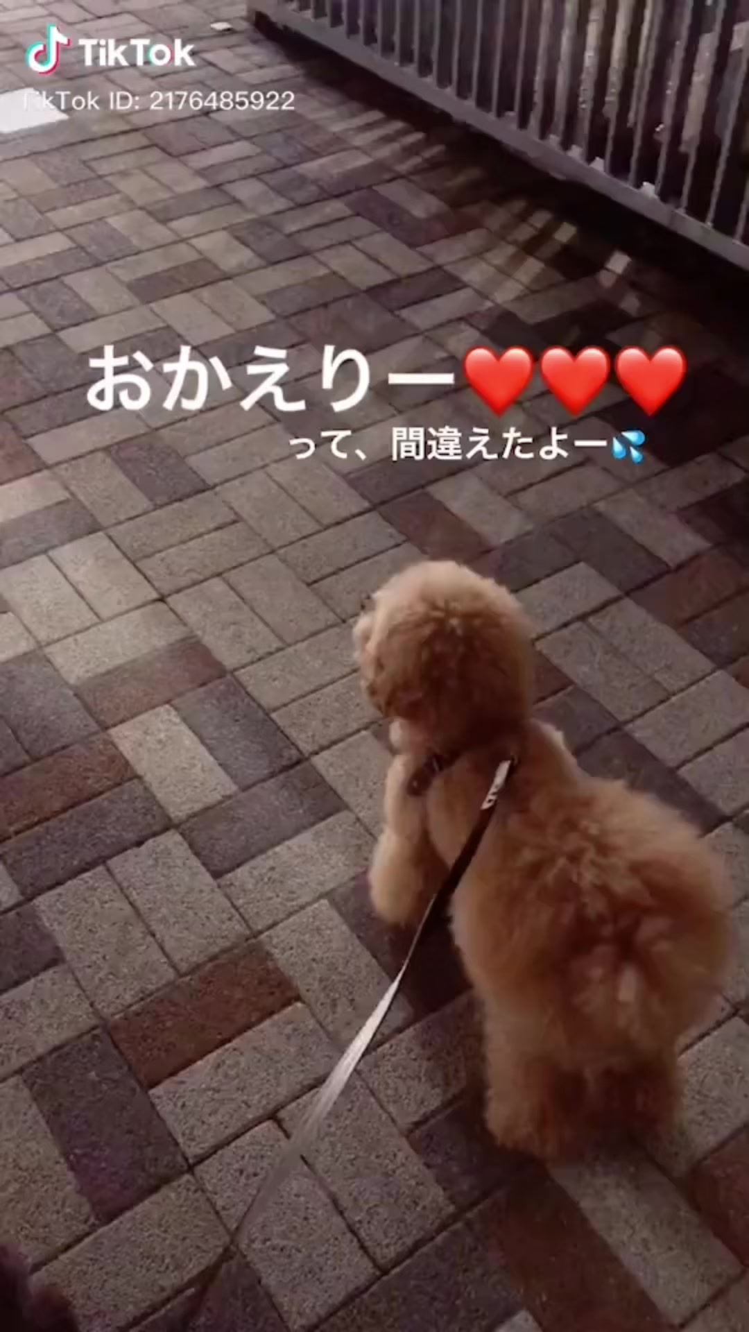 @たっちゃん。