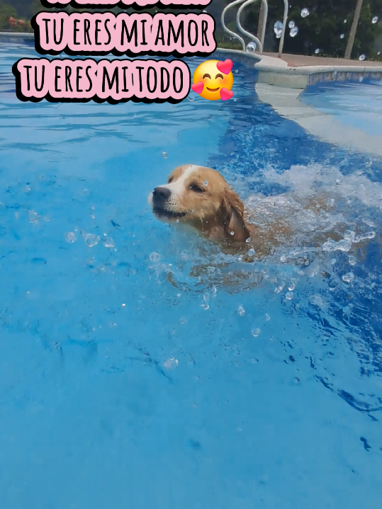 @Leidy Aldana