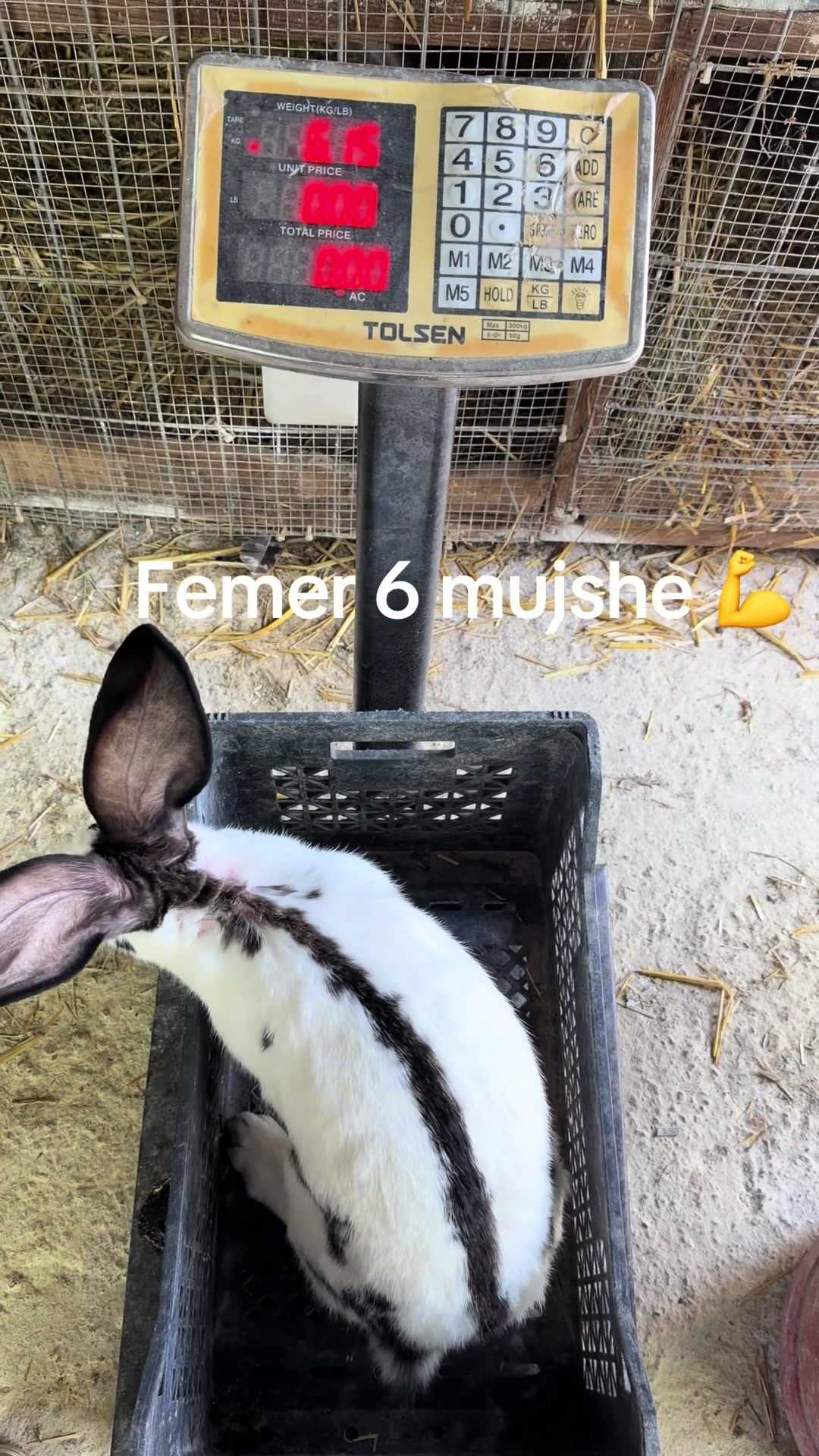 @uriasi.german