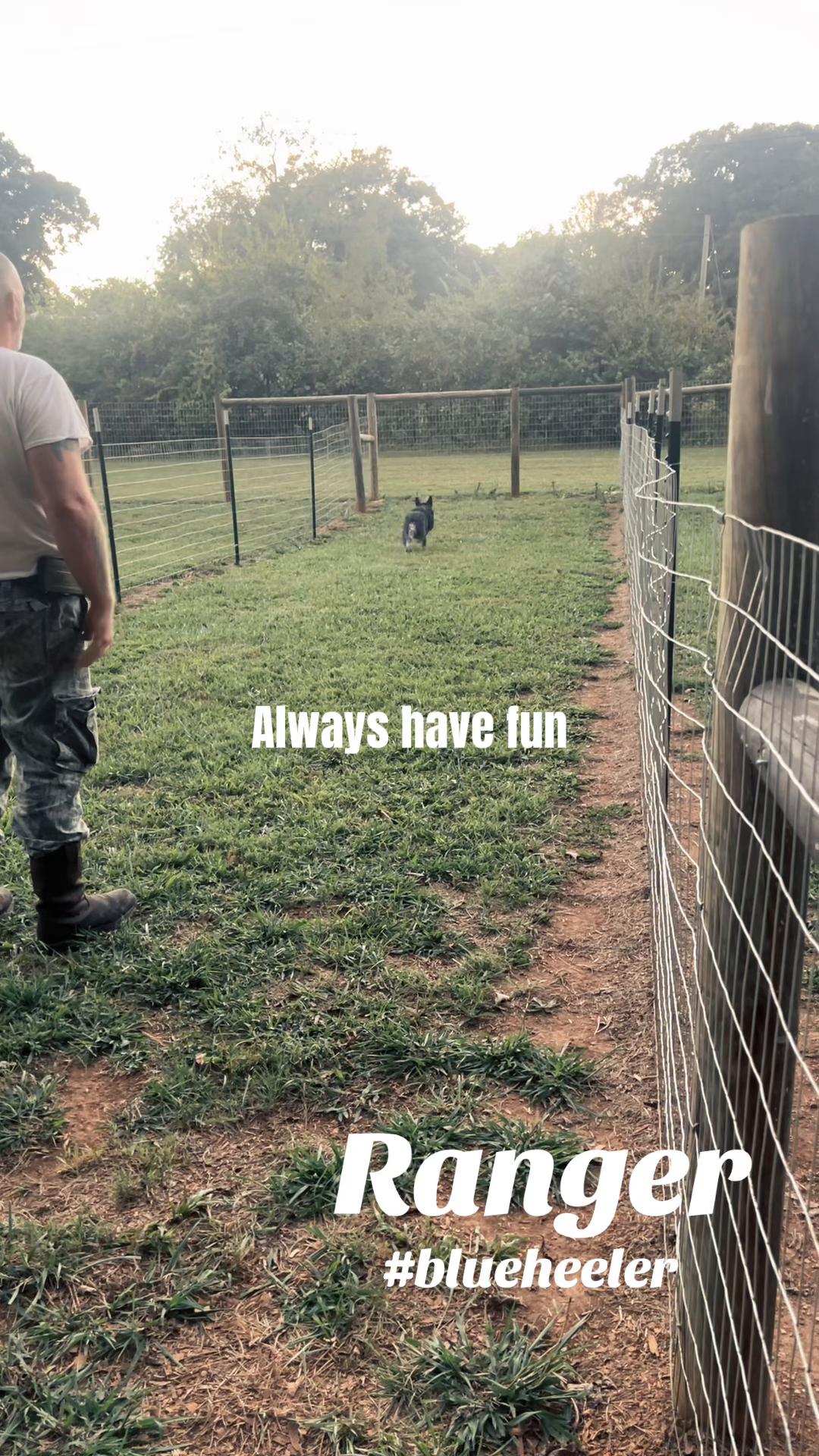 @Angie@k9kennels🐾
