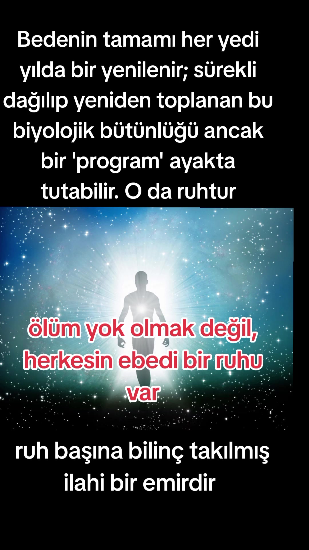 @Kadim Kartal(yazar)