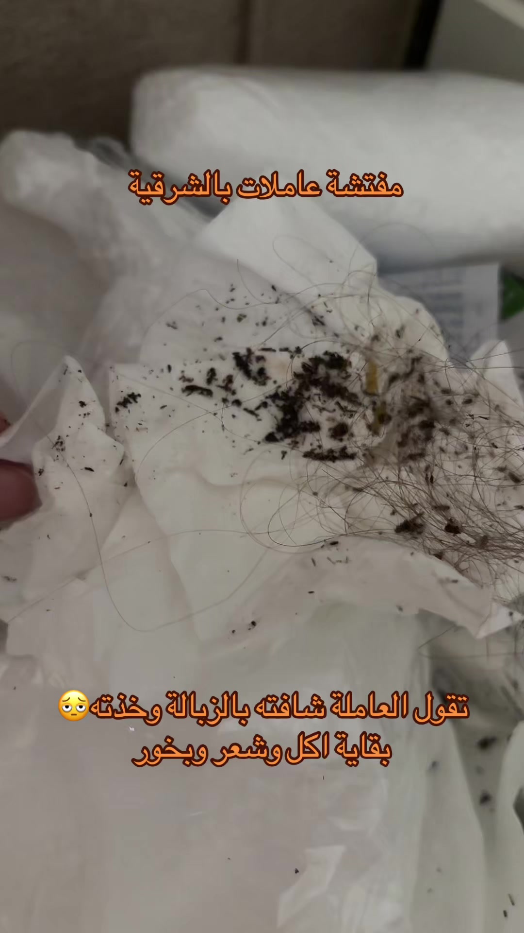@مفتشة عاملات بالشرقية