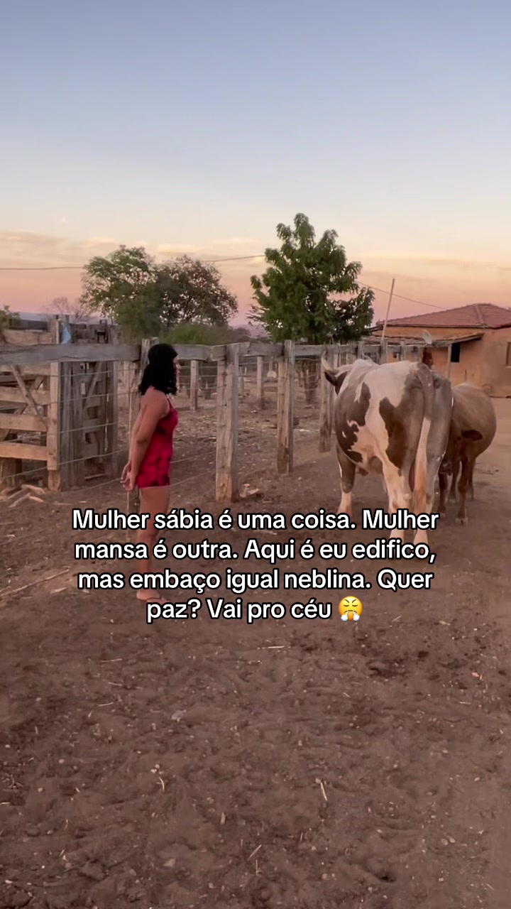 @monicadejatoba