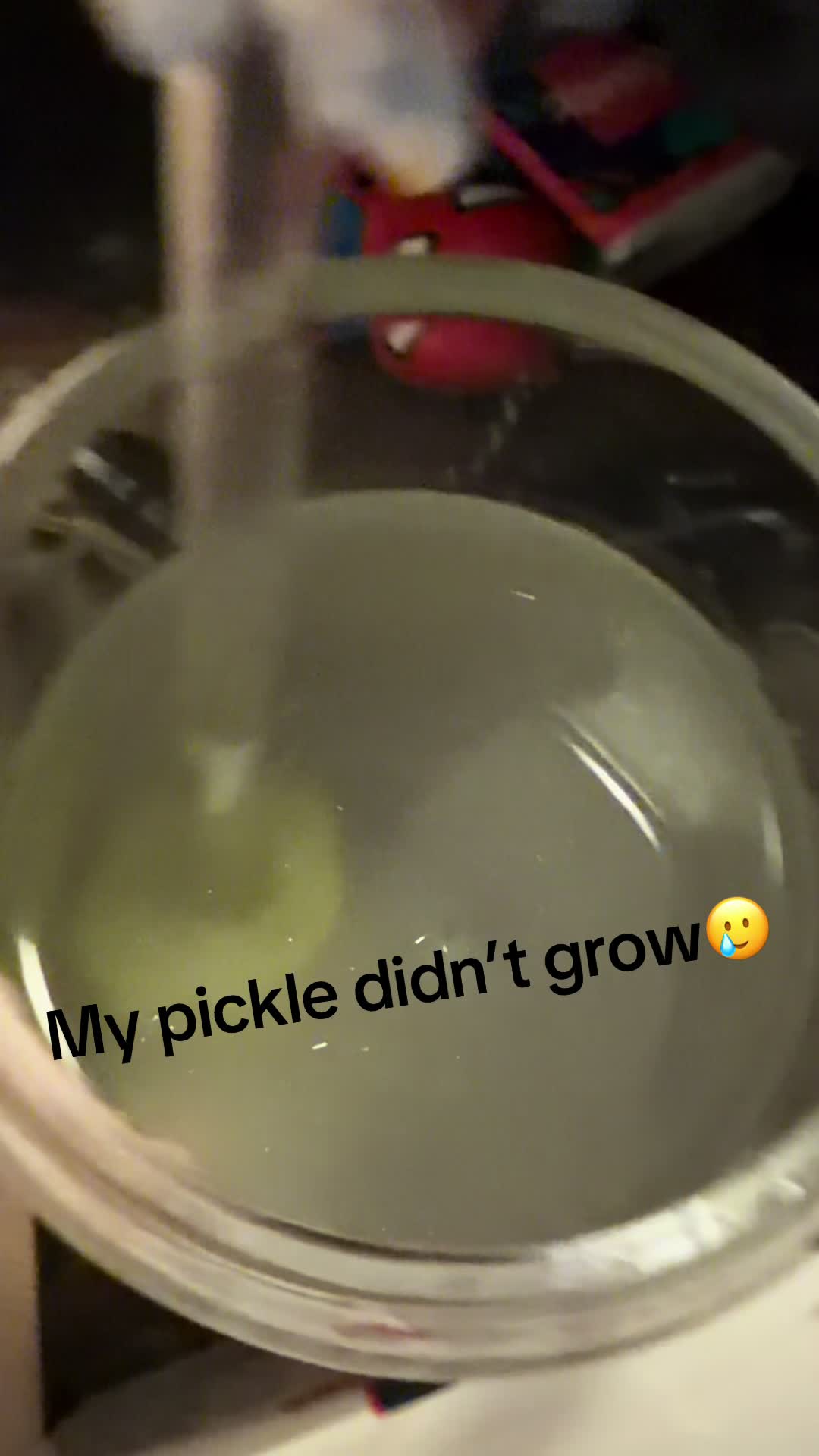 @ididntstudyforthis