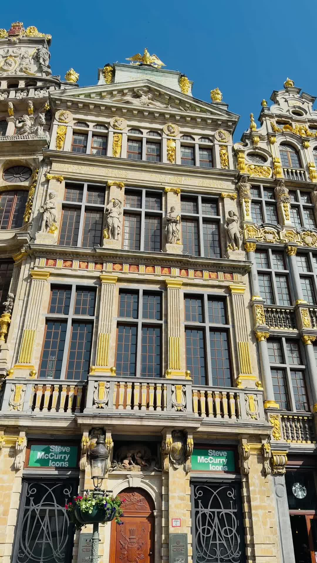 @Ali jutt🇧🇪