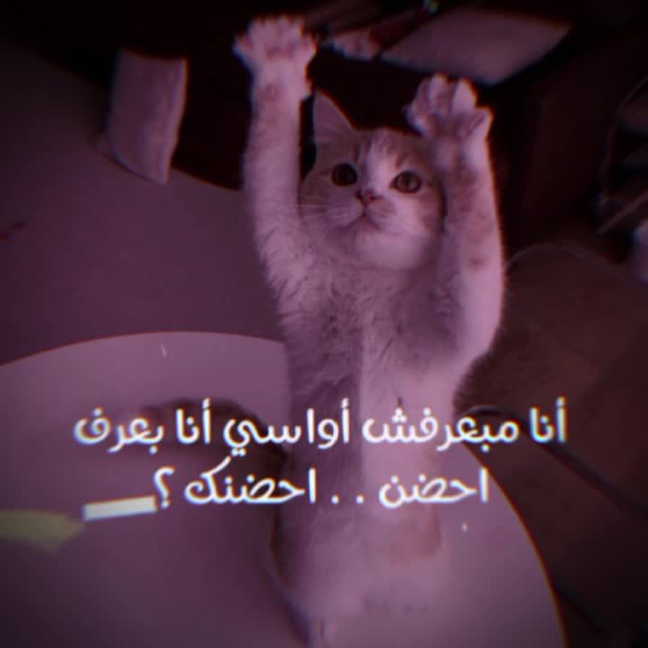 @جوجو| 𝐉𝐨𝐣𝐨 𐙚 ~