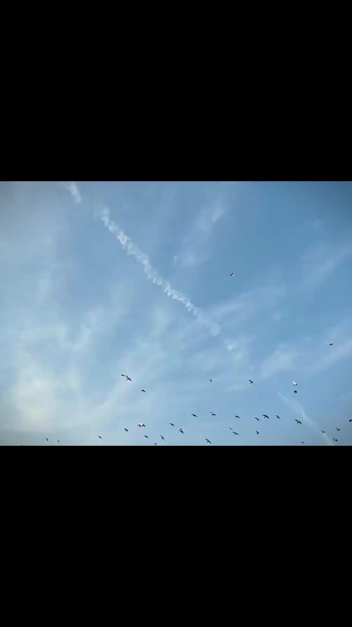 @𝐍𝐎𝐎𝐑-𝐁𝐔𝐓𝐓