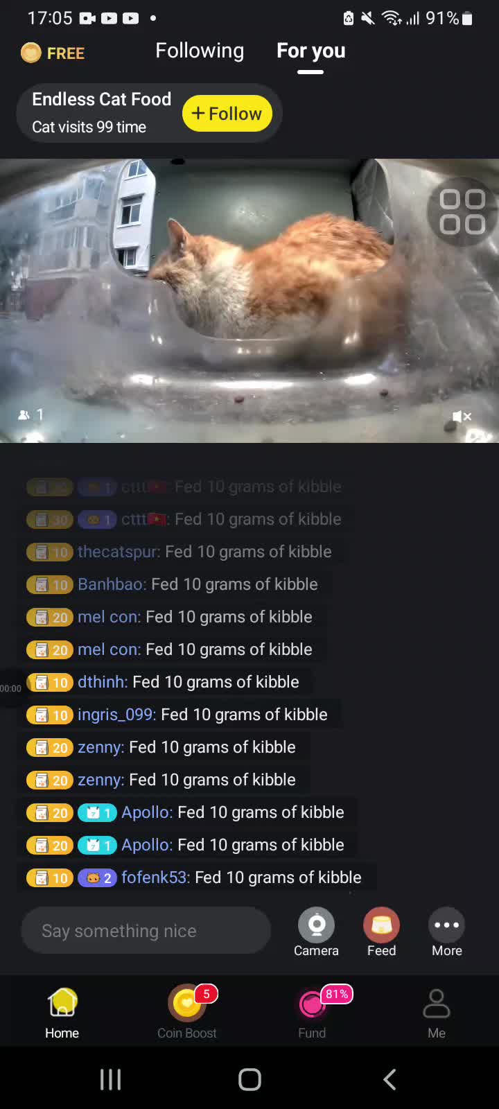 @sbsishsh