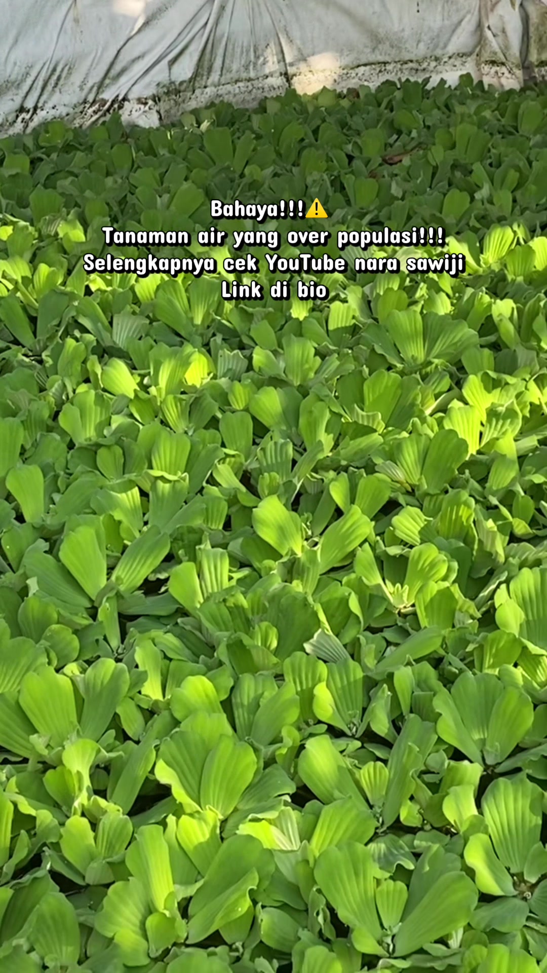 @NAMI TOKOKU