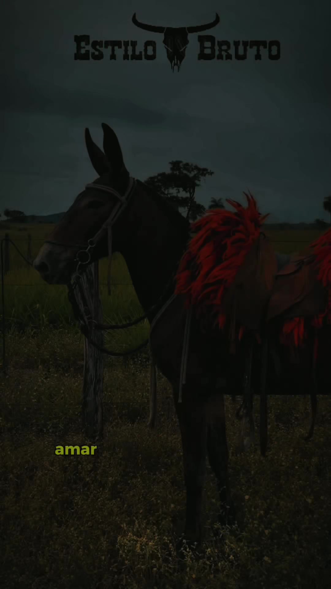 @gurizada_do_agro_music