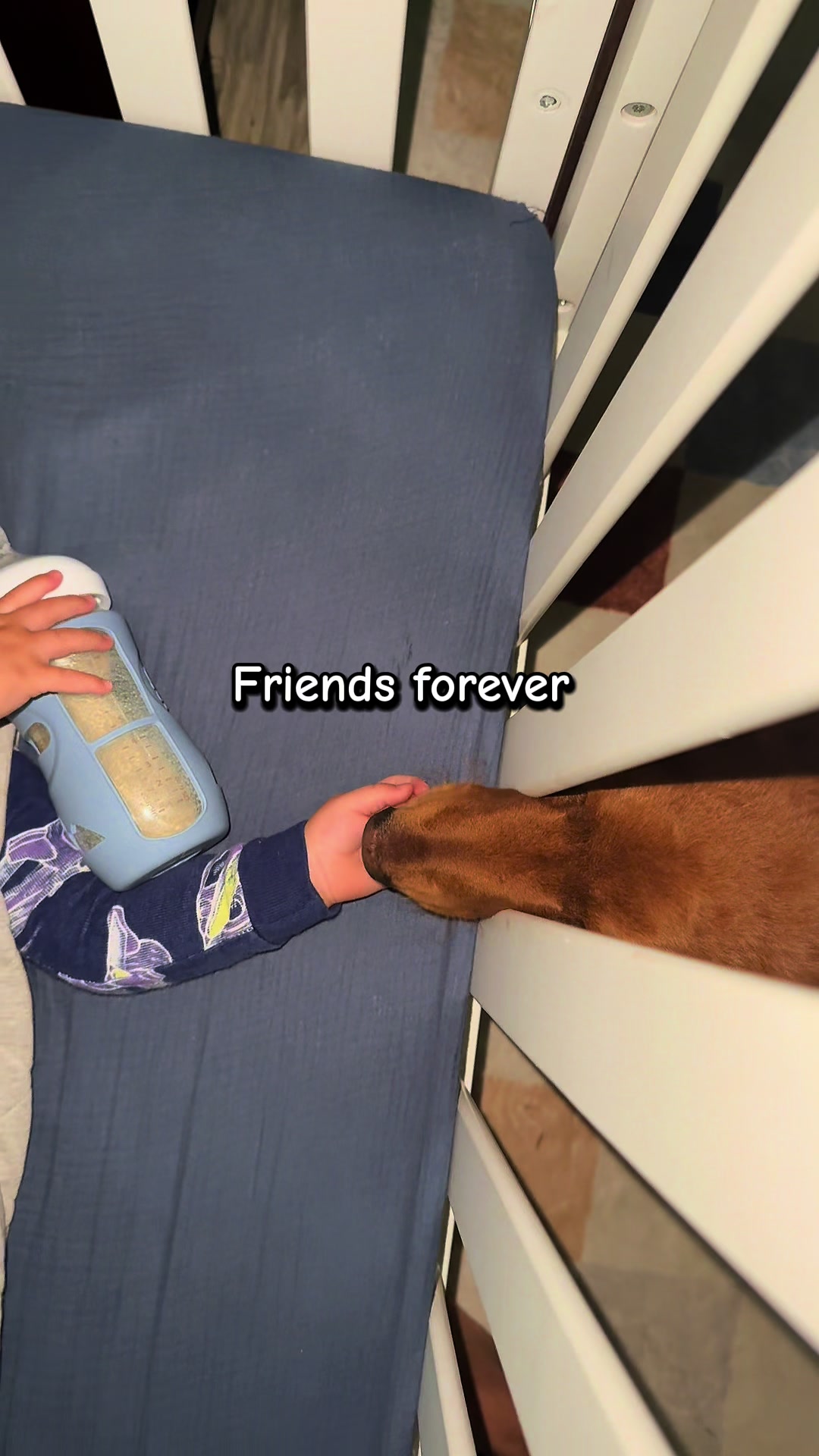 @Jo&lu