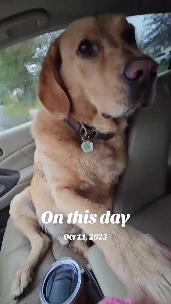 @Dogmom