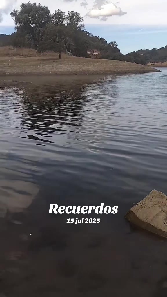 @Carlos Castillo 🍀🐸🐇🇲🇽