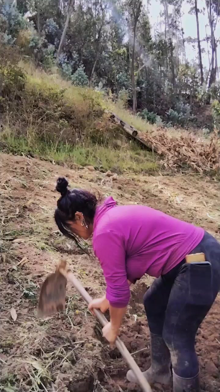 @veronicasarmiento